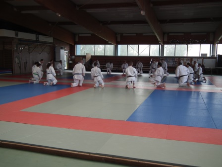 Début du stage de jujitsu