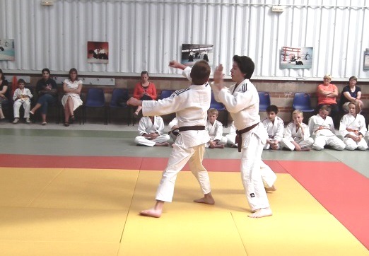 E - Démonstration jujitsu par Axel et Aymeric (11)